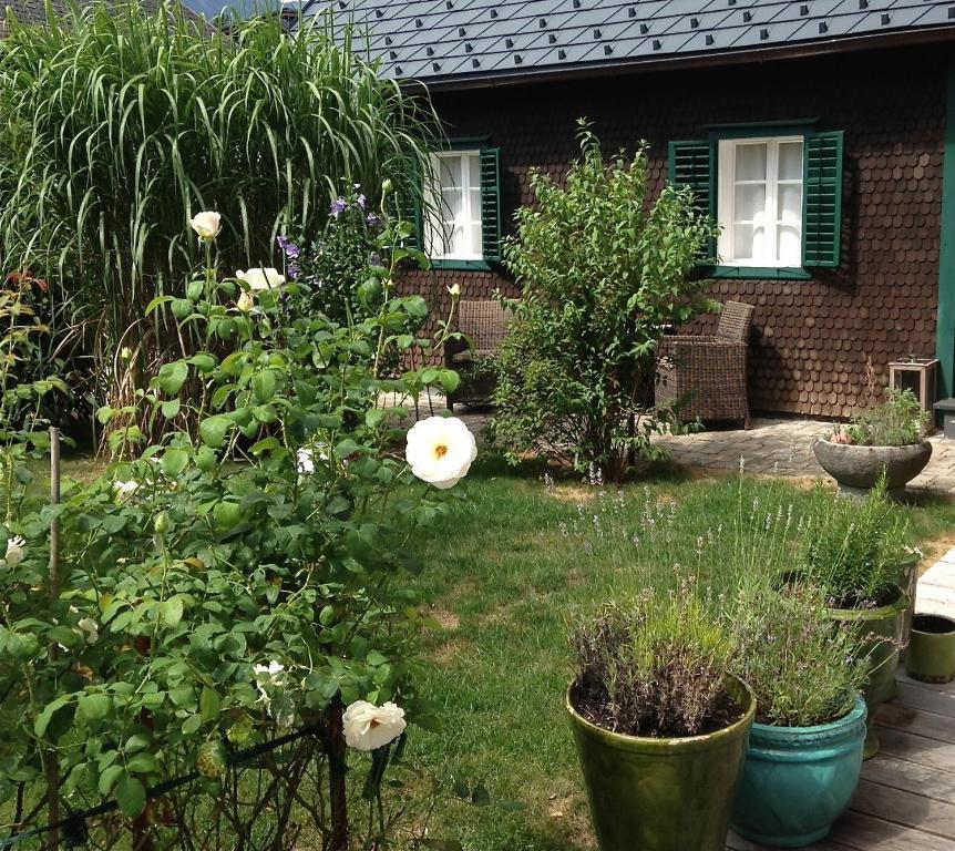 Apartment Burgi Kefer